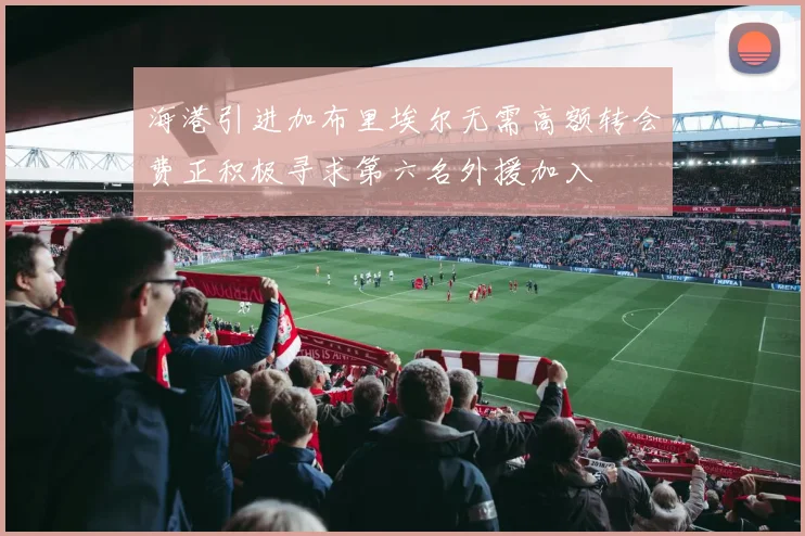 海港引进加布里埃尔无需高额转会费正积极寻求第六名外援加入